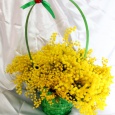 Корзина Мимоза