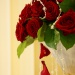 Розы в цветочной композиции