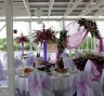 Сиреневая свадьба - декор банкетного зала