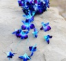 Букет невесты с синими орхидеями